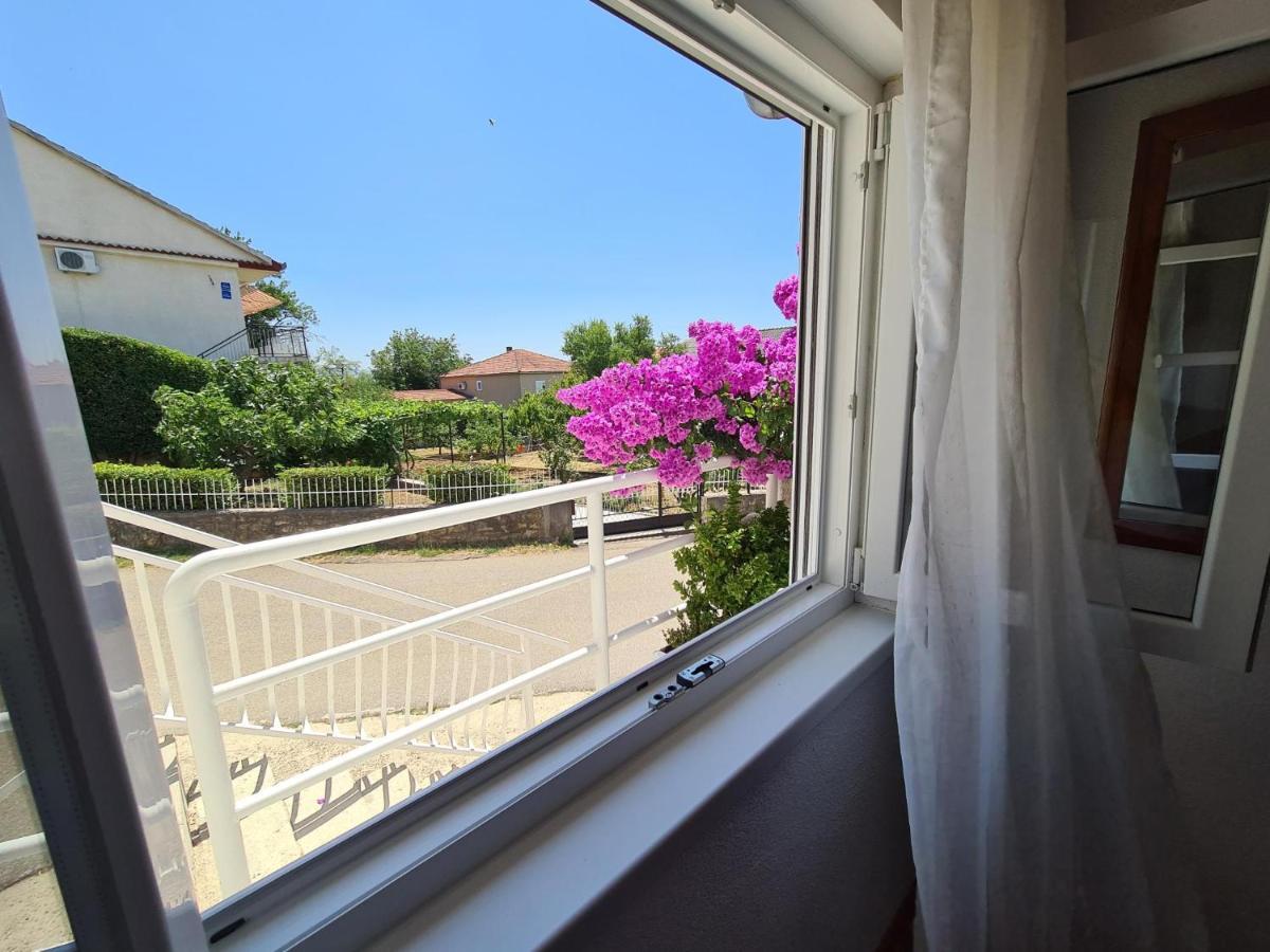 Maslenica-Bougainvillea Dış mekan fotoğraf