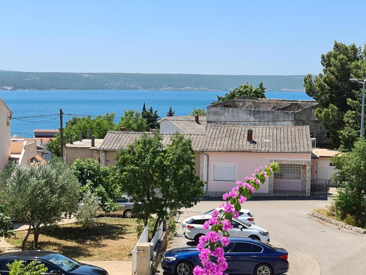 Maslenica-Bougainvillea Dış mekan fotoğraf