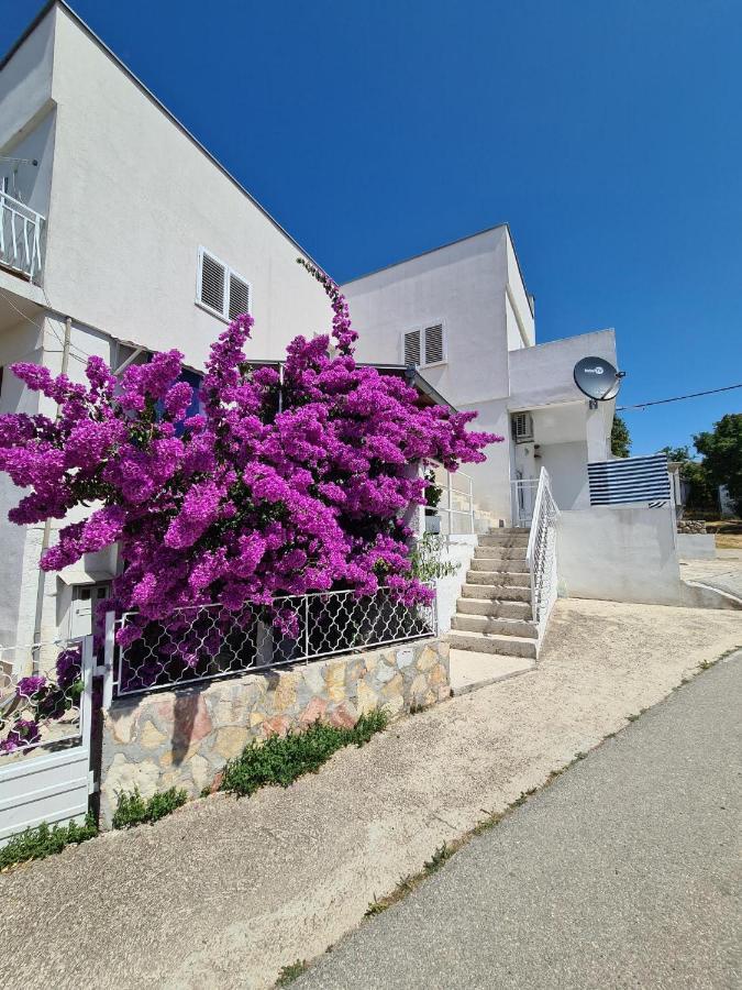 Maslenica-Bougainvillea Dış mekan fotoğraf