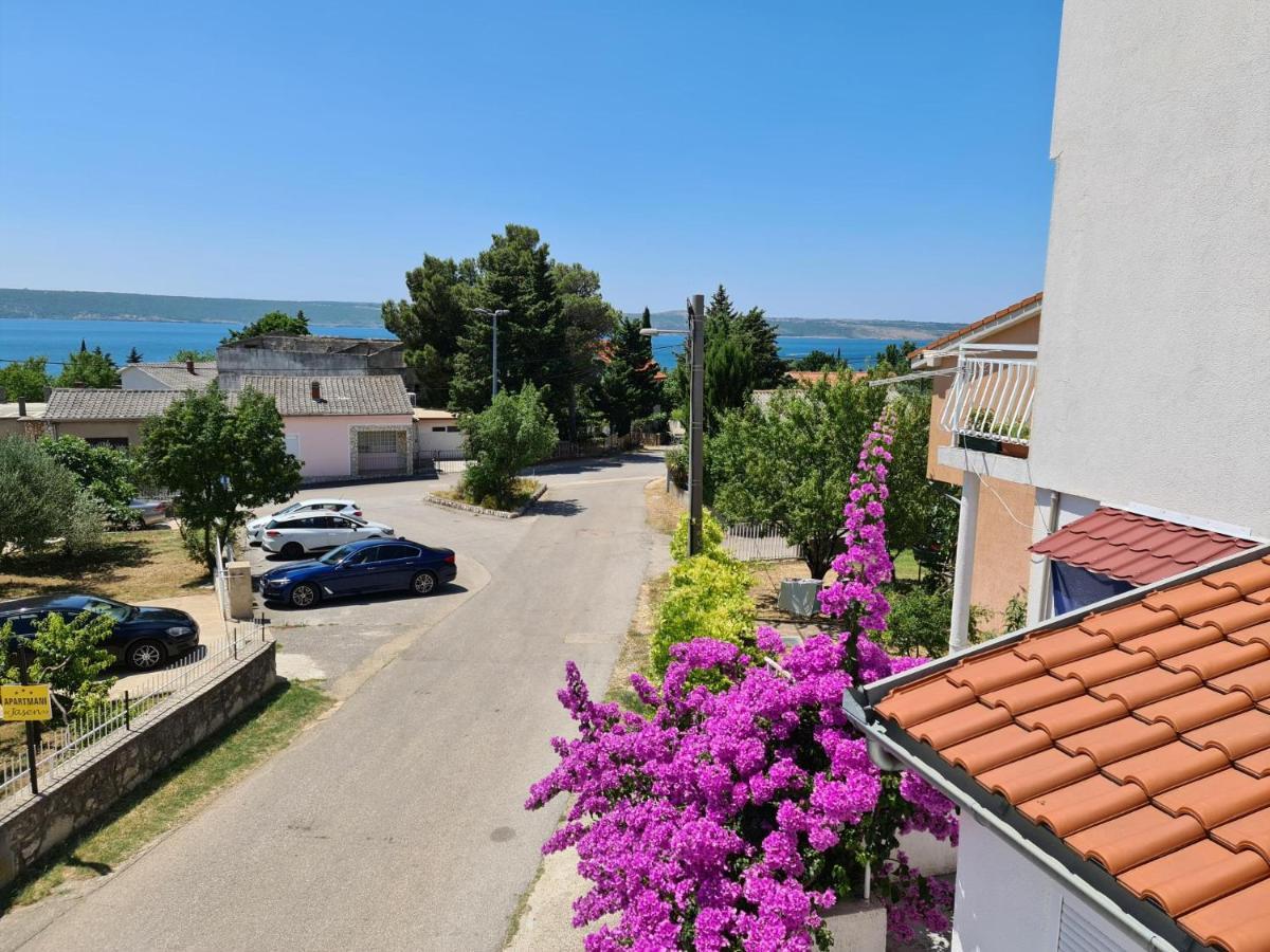 Maslenica-Bougainvillea Dış mekan fotoğraf
